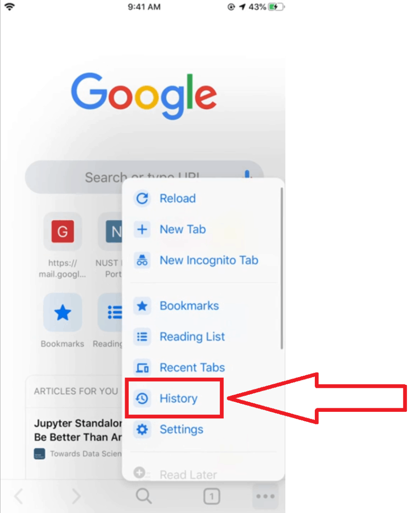 iPhone and iPad Google history step 3
