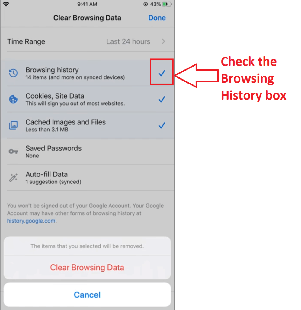 iPhone and iPad clear your Google history step 2
