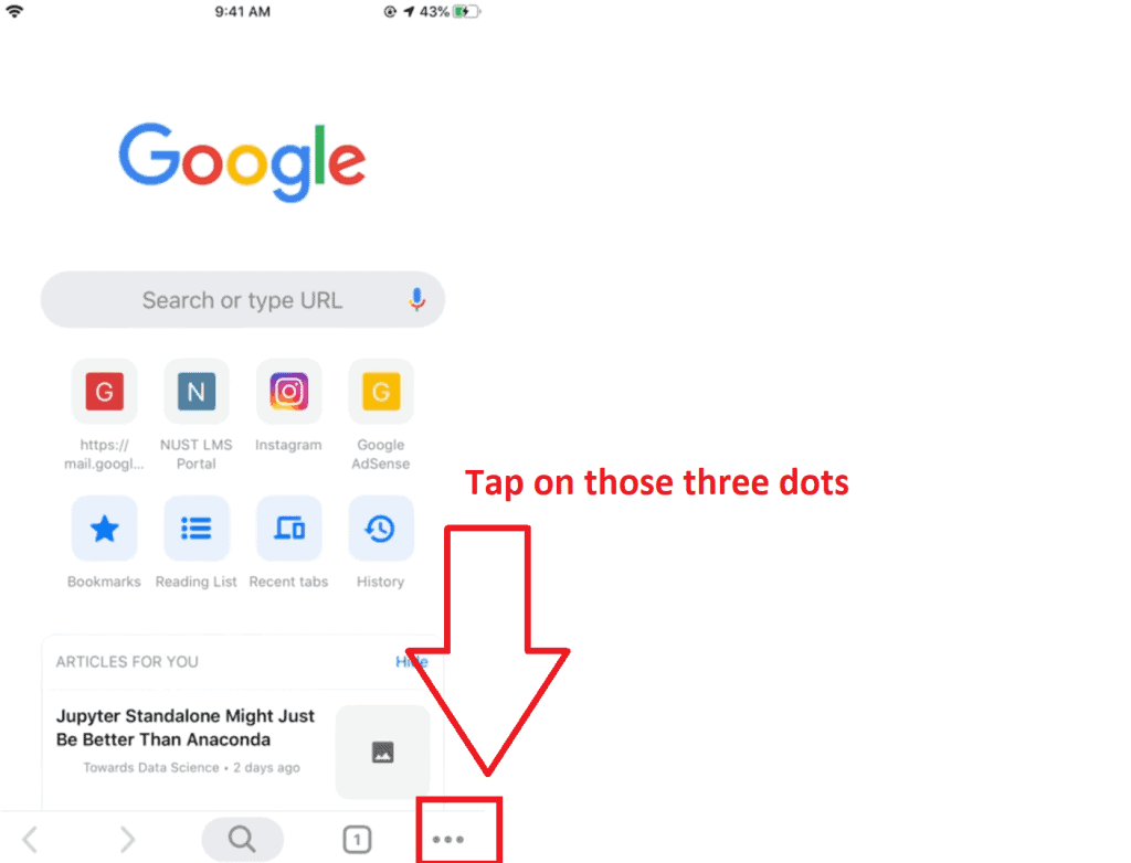 iPhone and iPad Google history step 2