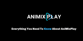 Everything You Need To Know About AniMixPlay