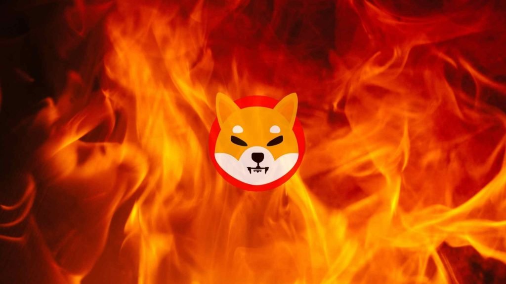 Burn Rate for SHIB Coins?