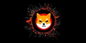 shiba inu coin burn