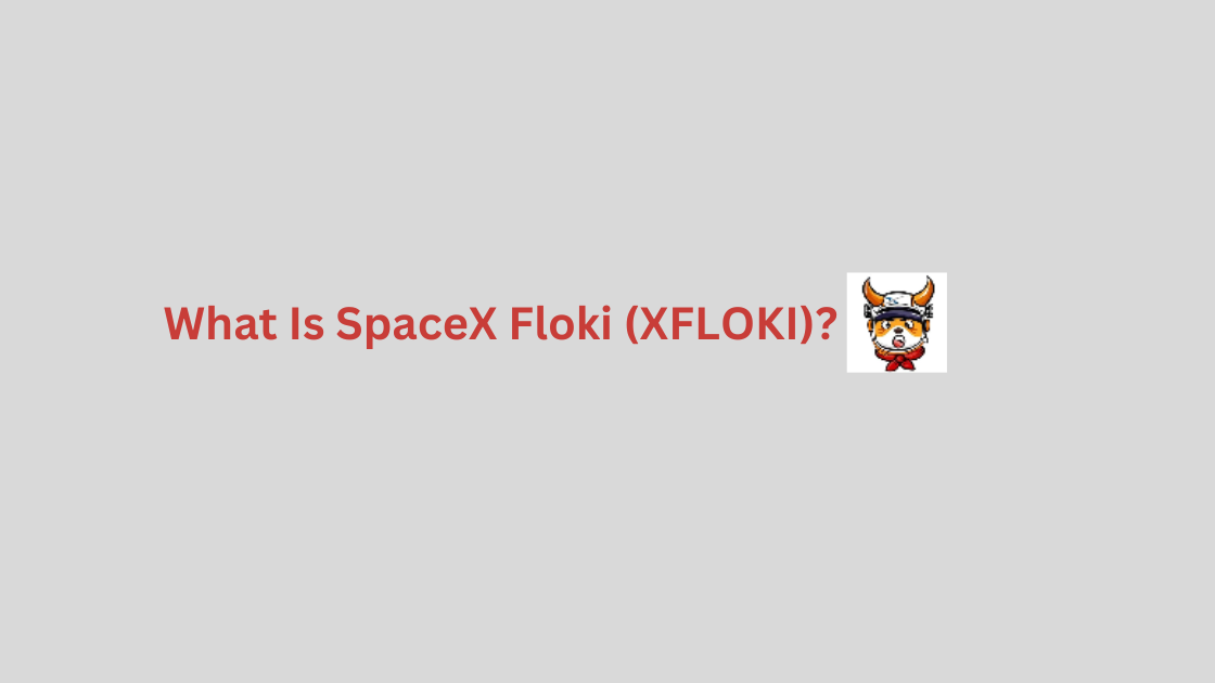 What Is SpaceX Floki (XFLOKI)?