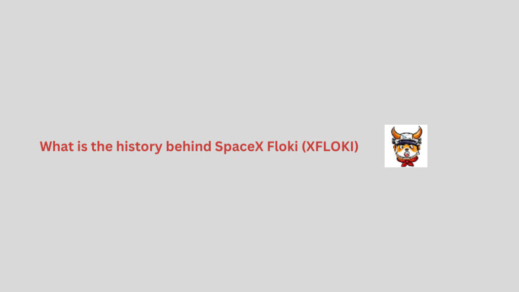 What is the history behind SpaceX Floki (XFLOKI)