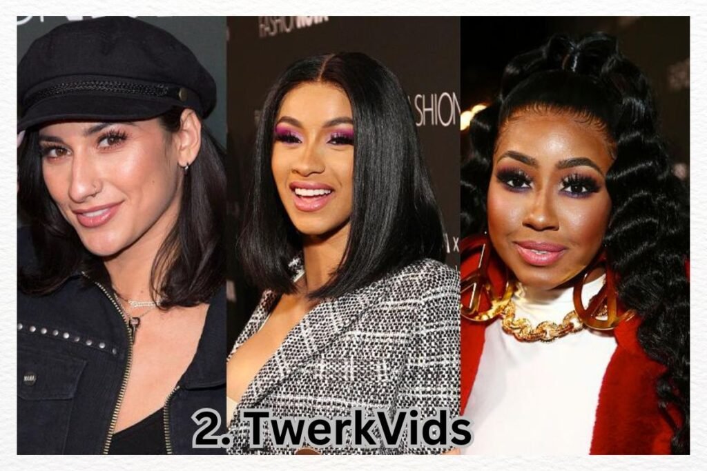 2. TwerkVids