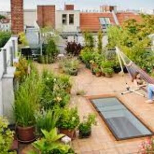 How to Make a Good Rooftop Garden