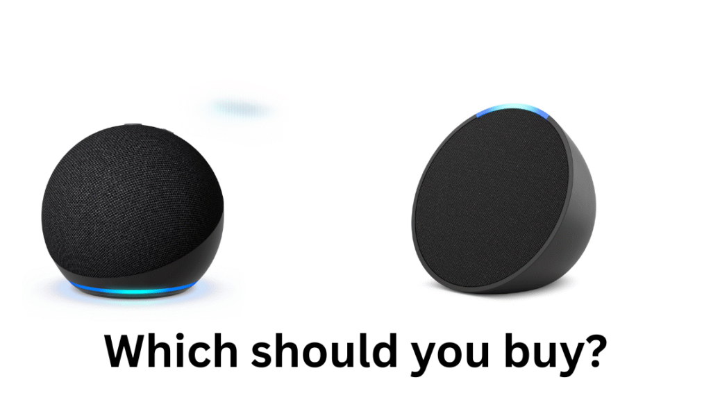 Which should you buy?